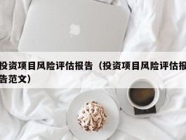 投资项目风险评估报告（投资项目风险评估报告范文）