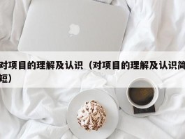 对项目的理解及认识（对项目的理解及认识简短）