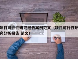 项目可行性研究报告案例范文（项目可行性研究分析报告 范文）