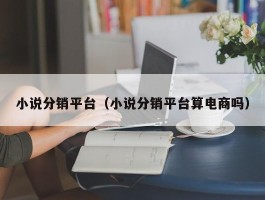 小说分销平台（小说分销平台算电商吗）