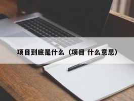 项目到底是什么（项目 什么意思）