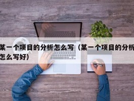 某一个项目的分析怎么写（某一个项目的分析怎么写好）