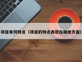 项目有何特点（项目的特点表现在哪些方面）