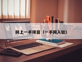 网上一手项目（一手网入驻）
