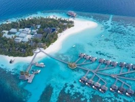 东吴策略：IP爆发背后中国资产定价的新叙事