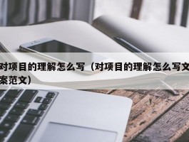 对项目的理解怎么写（对项目的理解怎么写文案范文）
