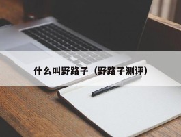 什么叫野路子（野路子测评）