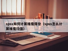 spss如何计算维度得分（spss怎么计算维度均值）