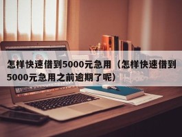怎样快速借到5000元急用（怎样快速借到5000元急用之前逾期了呢）
