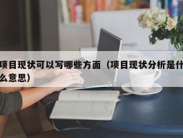 项目现状可以写哪些方面（项目现状分析是什么意思）