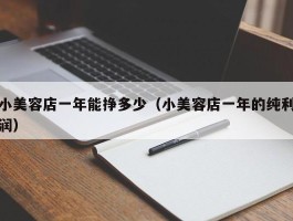 小美容店一年能挣多少（小美容店一年的纯利润）