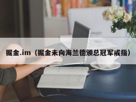 掘金.im（掘金未向海兰德颁总冠军戒指）