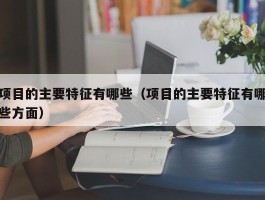 项目的主要特征有哪些（项目的主要特征有哪些方面）