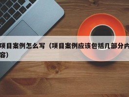 项目案例怎么写（项目案例应该包括几部分内容）