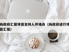 向政府汇报项目主持人开场白（向政府进行项目汇报）