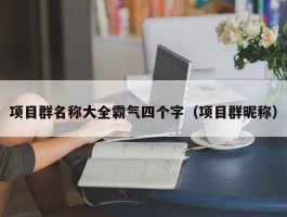 项目群名称大全霸气四个字（项目群昵称）