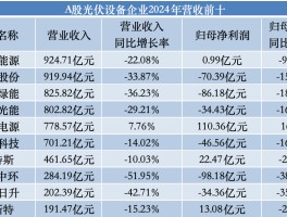 追光者”2024年成绩单透视：近半亏损下转向“技术战