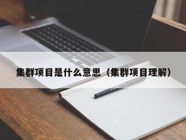集群项目是什么意思（集群项目理解）