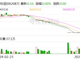 新纺退：将在6月28日被摘牌