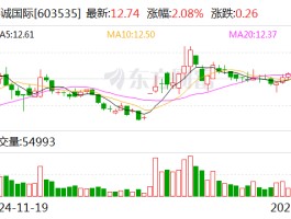 嘉诚国际：2024年净利润同比增长24.53%
