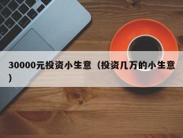 30000元投资小生意（投资几万的小生意）
