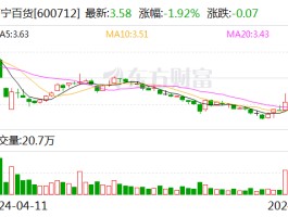 南宁百货：预计2024年上半年净利润为205万元左右