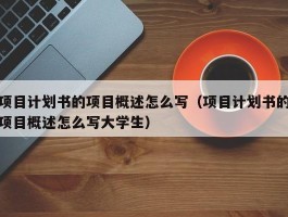 项目计划书的项目概述怎么写（项目计划书的项目概述怎么写大学生）