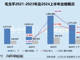 毛戈平 “拆弹”九鼎转战港股IPO首战仍不顺 失效次日更新招股书、经营中多项隐忧尚存