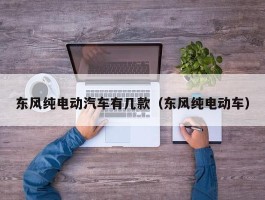 东风纯电动汽车有几款（东风纯电动车）