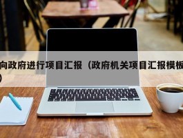 向政府进行项目汇报（政府机关项目汇报模板）