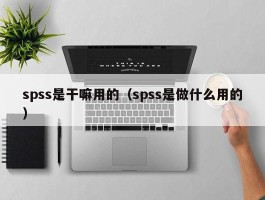 spss是干嘛用的（spss是做什么用的）