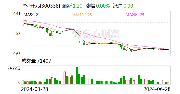 *ST开元:公司被债权人申请重整及预重整